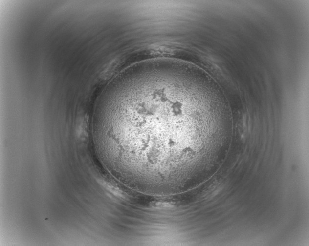 X0000066090649200603101207