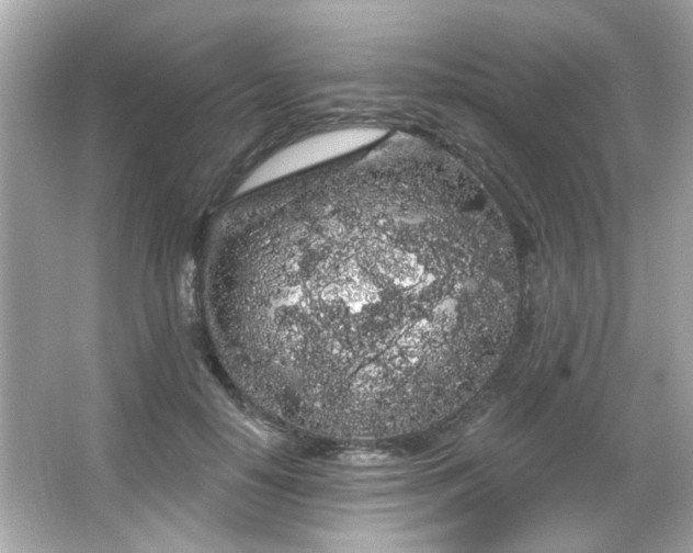 X0000066090650200603101207