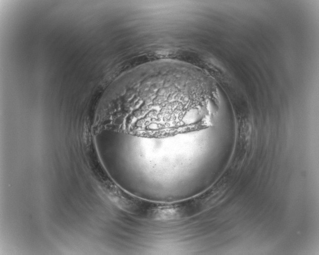 X0000066090651200603101207