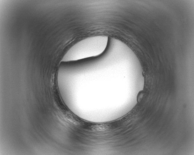 X0000066090652200603101207