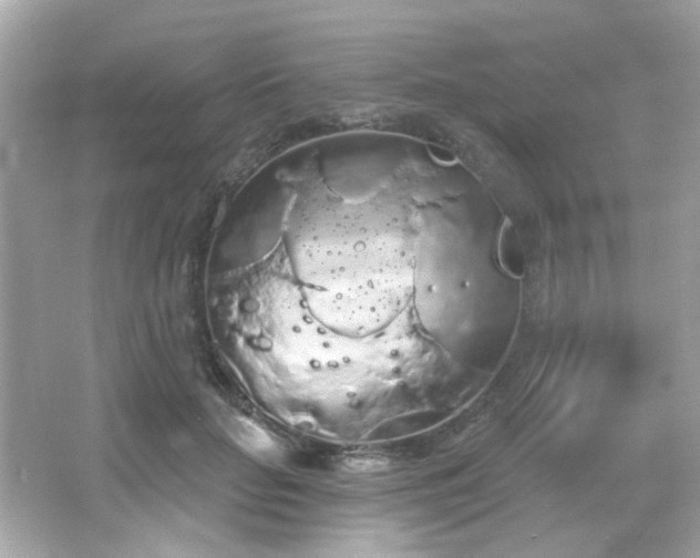 X0000066090653200603101207