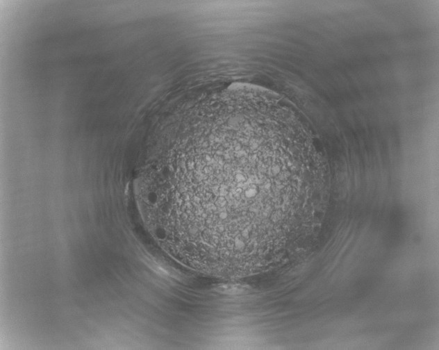 X0000066090654200603101207