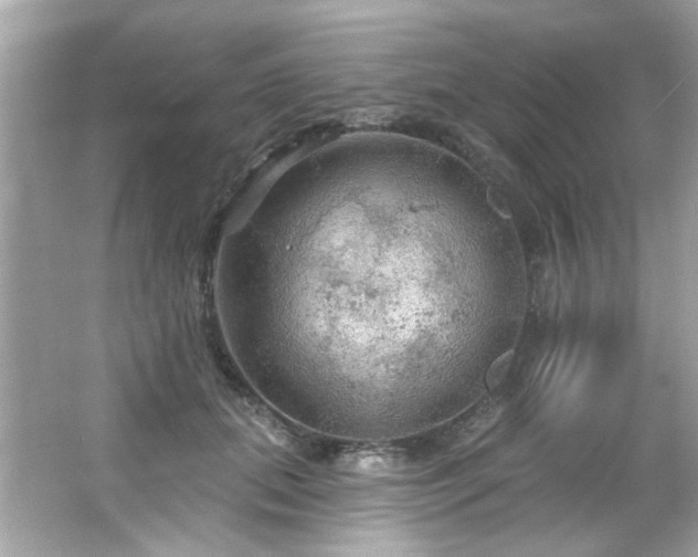 X0000066090655200603101207