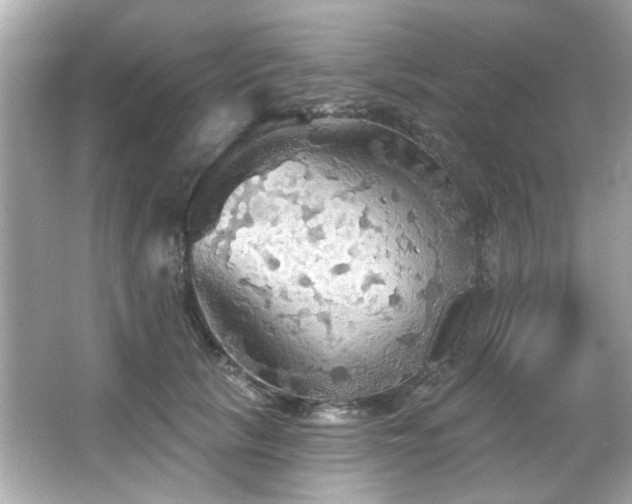 X0000066090657200603101207