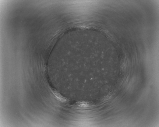 X0000066090658200603101207