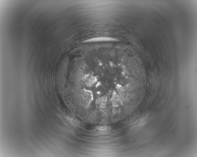 X0000066090659200603101207