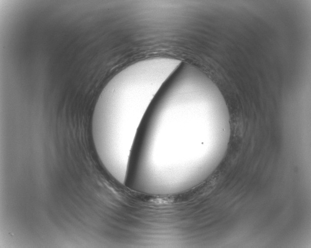 X0000066090660200603101207