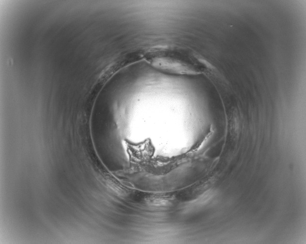 X0000066090661200603101207