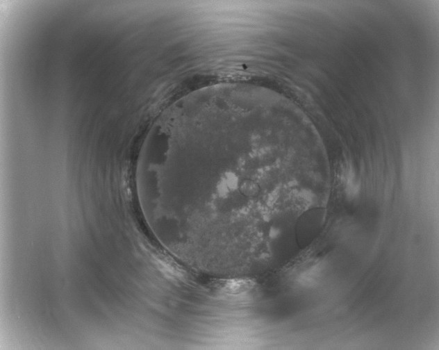 X0000066090663200603101207