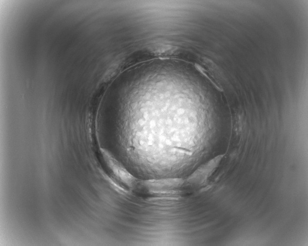 X0000066090664200603101207