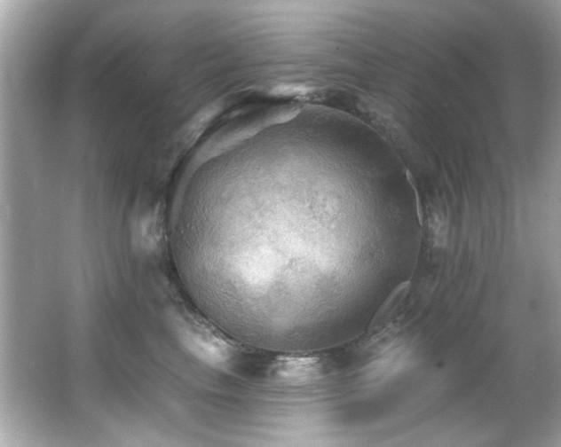 X0000066090665200603101207