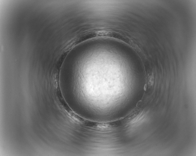 X0000066090666200603101207