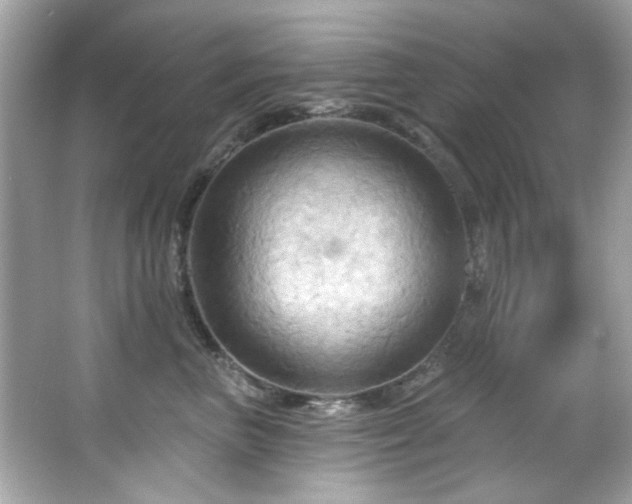 X0000066090667200603101207