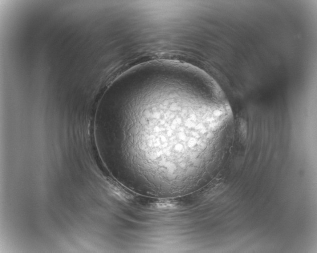 X0000066090668200603101207