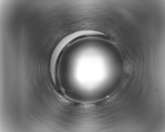 X0000066090670200603101207