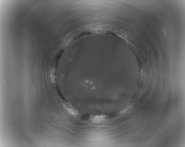 X0000066090671200603101207