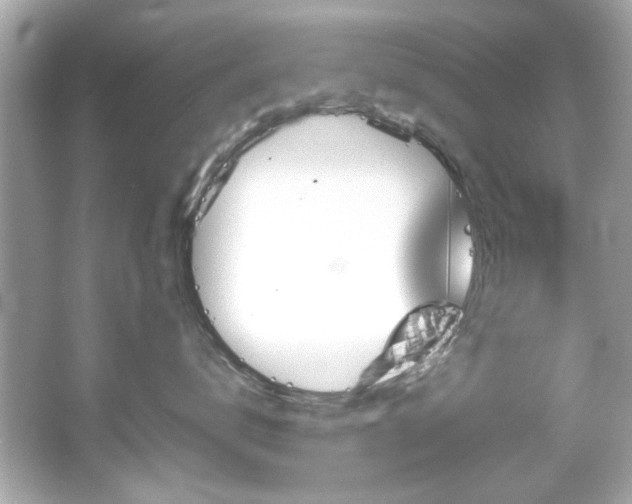 X0000066090672200603101207