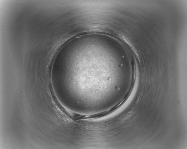 X0000066090673200603101207