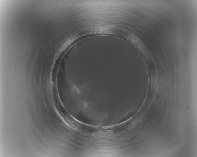 X0000066090674200603101207