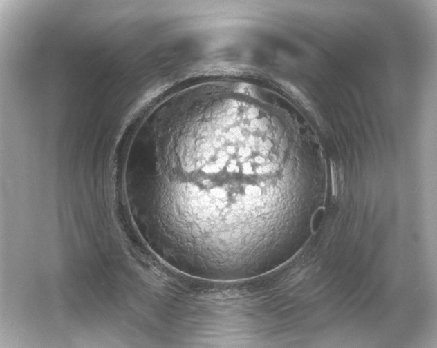 X0000066090675200603101207