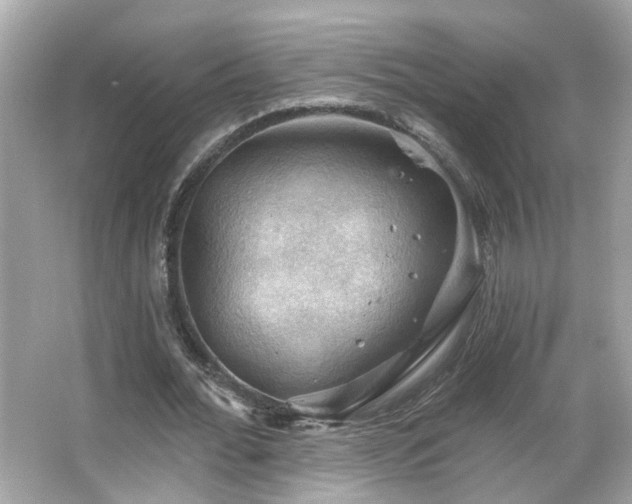 X0000066090676200603101207