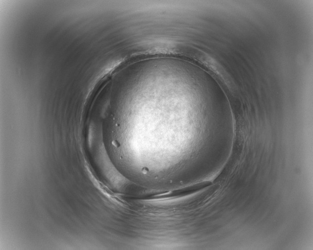 X0000066090677200603101207