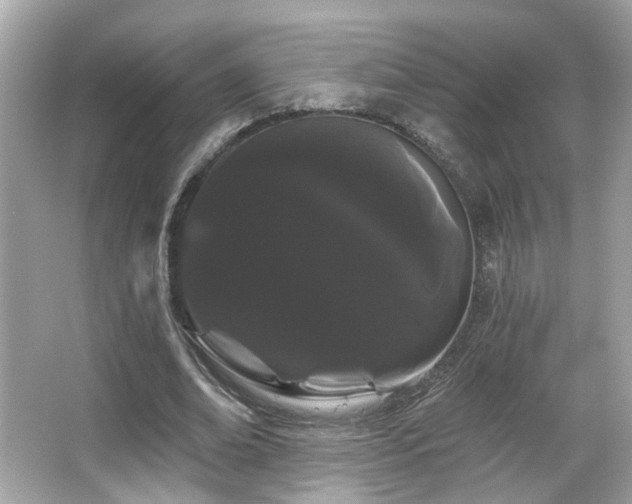 X0000066090678200603101207