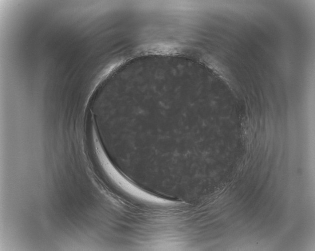 X0000066090679200603101207