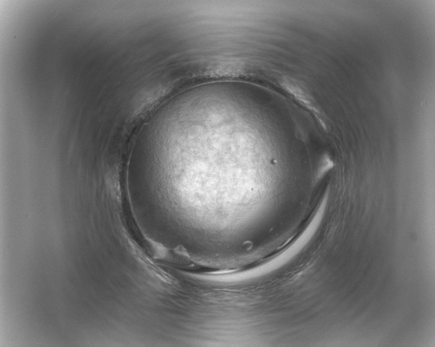 X0000066090681200603101206