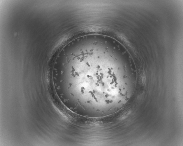 X0000066090683200603101206