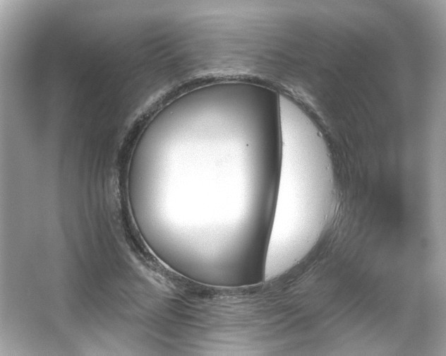 X0000066090684200603101206