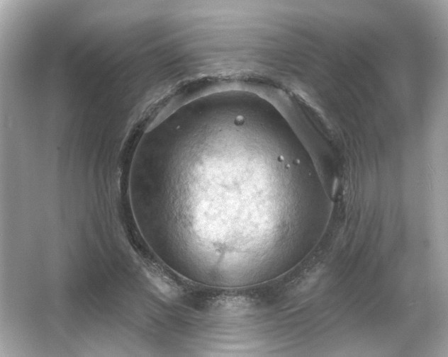 X0000066090685200603101206