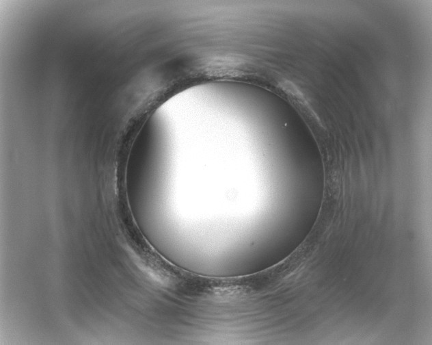 X0000066090686200603101206