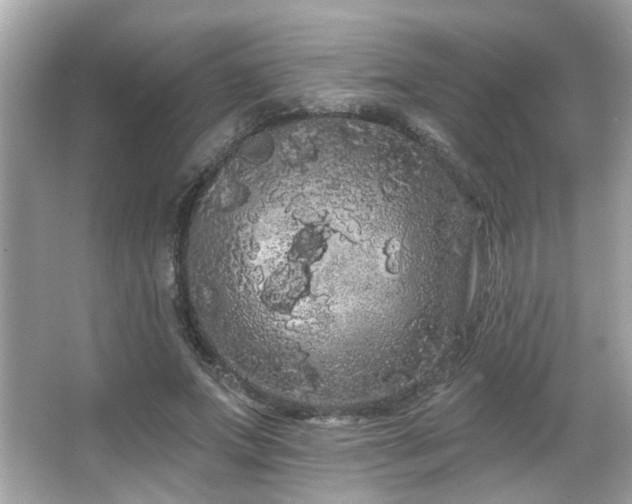 X0000066090687200603101206