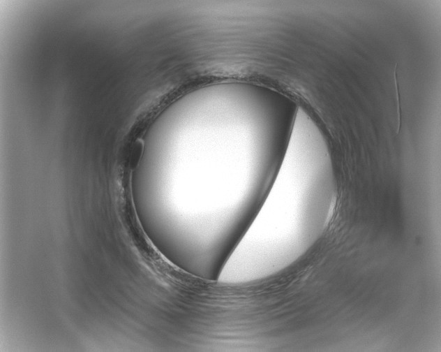 X0000066090688200603101206