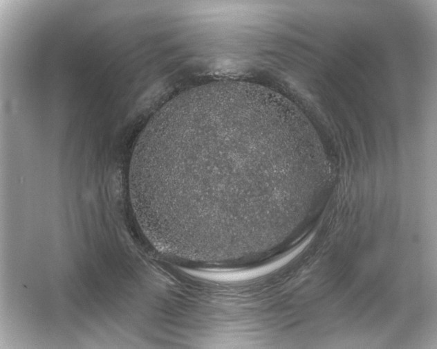 X0000066090689200603101206