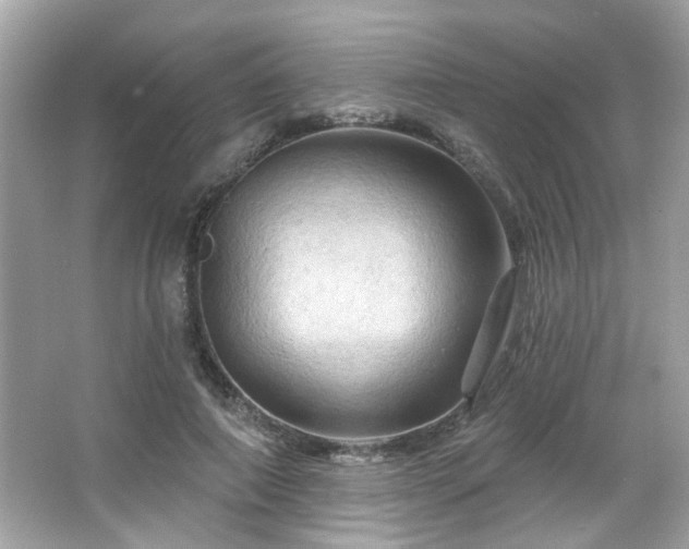 X0000066090690200603101206