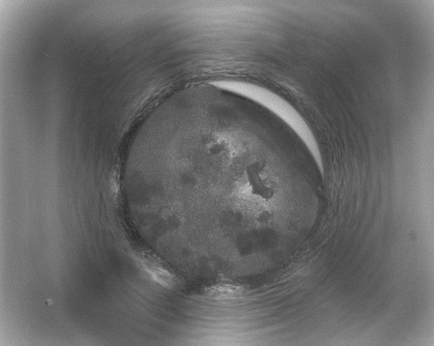 X0000066090691200603101206