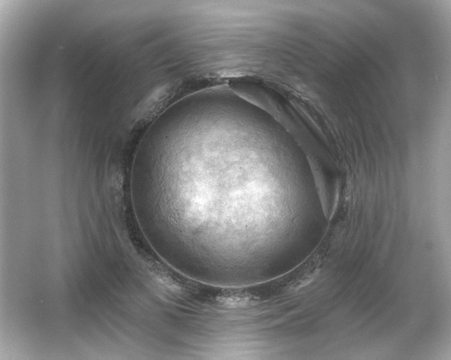 X0000066090693200603101206