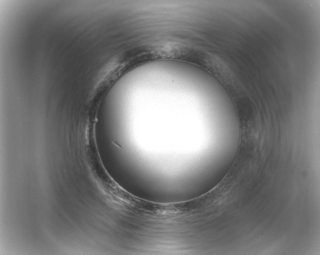 X0000066090694200603101206