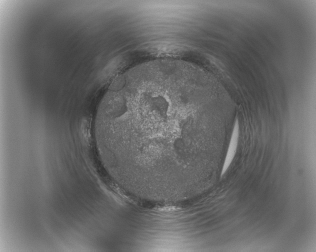 X0000066090695200603101206