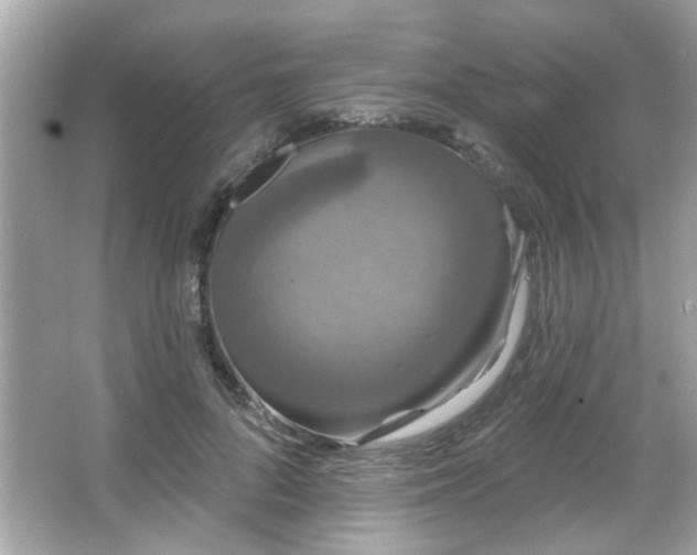 X0000066090696200603101206