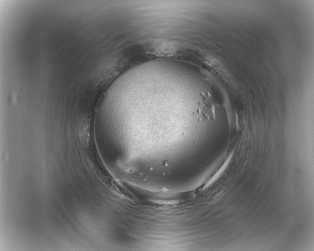 X0000066090697200603101206