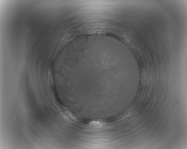 X0000066090699200603101206