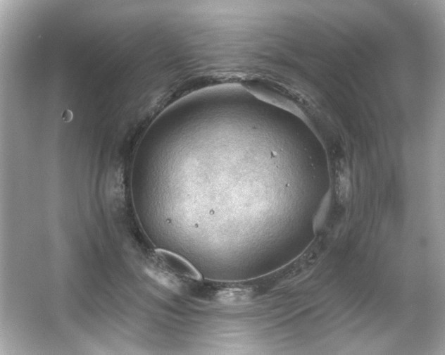 X0000066090700200603101206