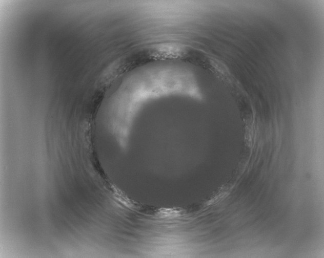 X0000066090701200603101206