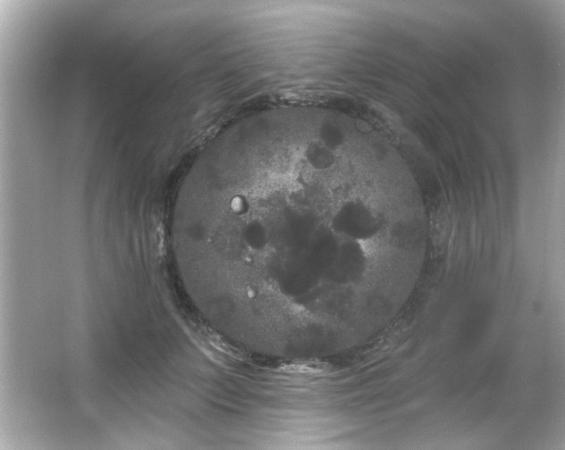 X0000066090703200603101206