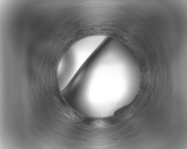 X0000066090704200603101206