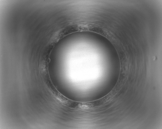 X0000066090706200603101206