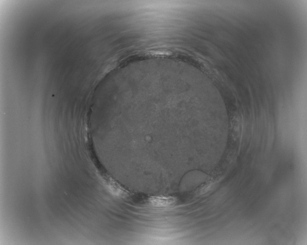 X0000066090707200603101206